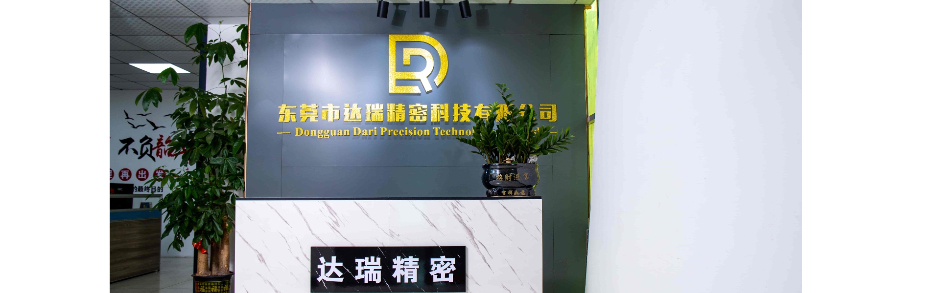 Mucegai din plastic, turnare prin injecție, coajă de plastic,Dongguan Darui Precision Technology Co., Ltd.